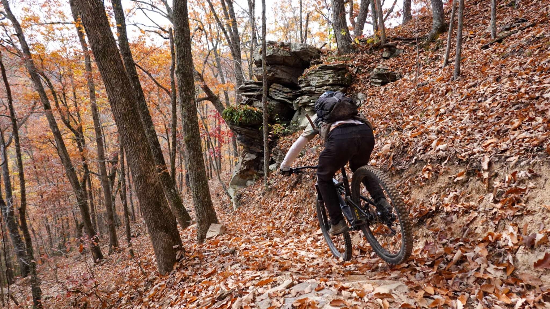 Mountain Biker