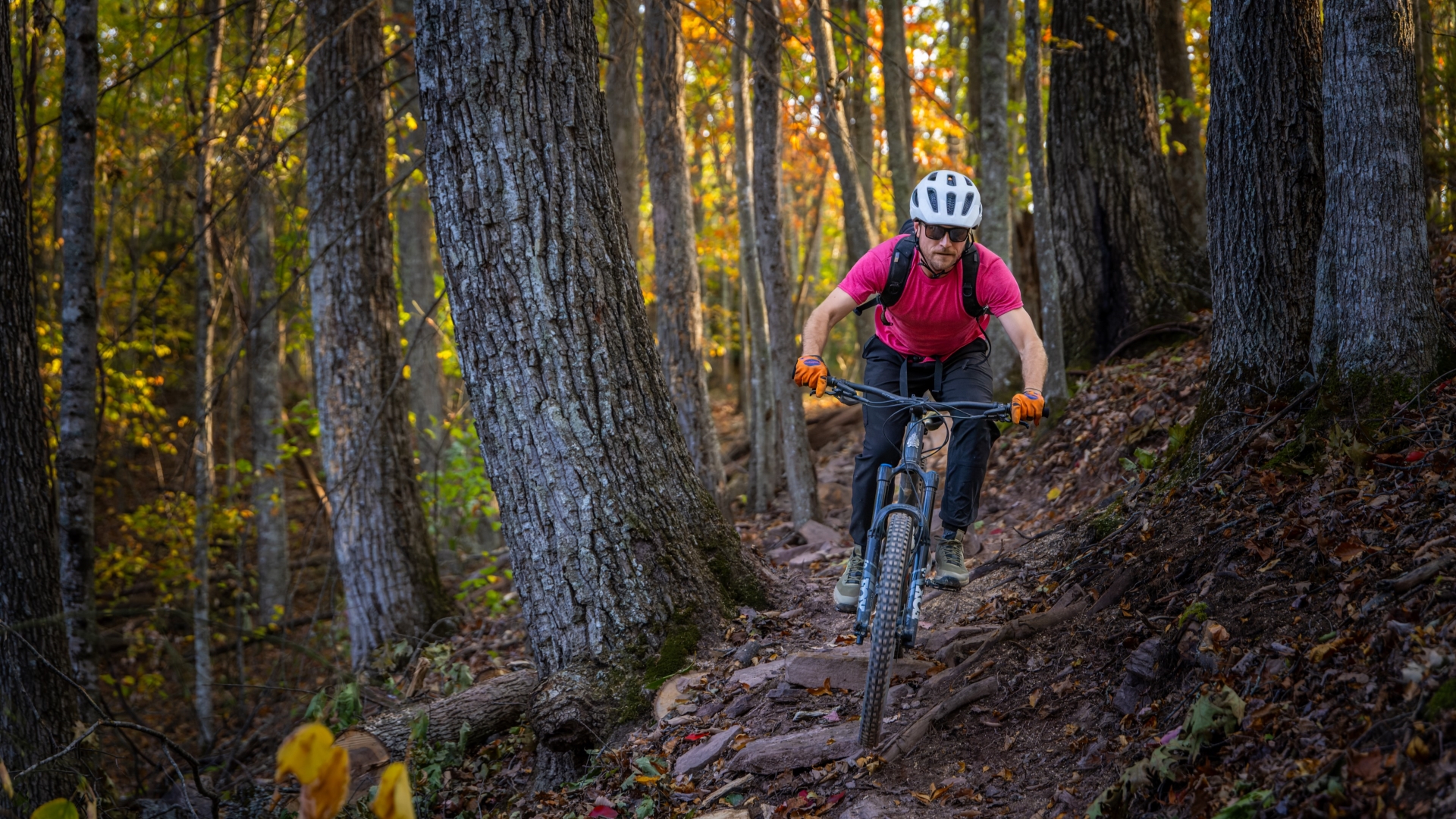 Mountain Biker